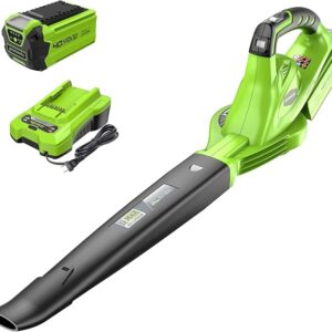 Greenworks 40V Leaf Blower/Sweeper, 150 MPH, Lightweight, Quiet, with 2.0 Ah Battery and Charger, Perfect for Residential Lawn Care, Leaf Blowing Debris, Dust, Light Snow, and More