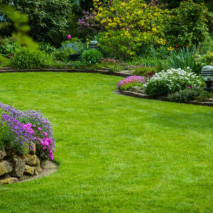 Garden deals