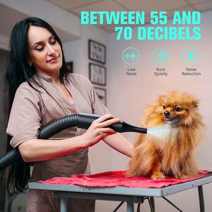 Limited time deal 37% off Pet Dryer, 5.2HP/3800W Pet Grooming with Adjustable Speed and Temperature - Image 2