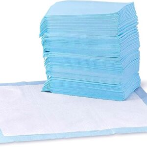 Basics Dog and Puppy Pee Pads with Leak-Proof Quick-Dry Design for Potty Training