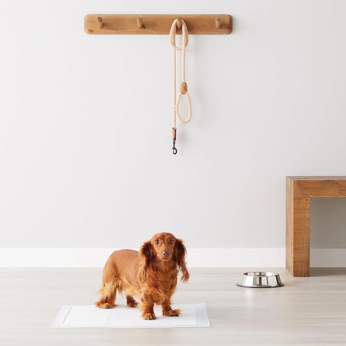 Basics Dog and Puppy Pee Pads with Leak-Proof Quick-Dry Design for Potty Training - Image 2