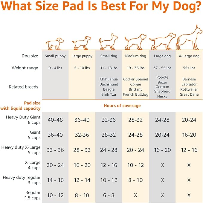 Basics Dog and Puppy Pee Pads with Leak-Proof Quick-Dry Design for Potty Training - Image 4